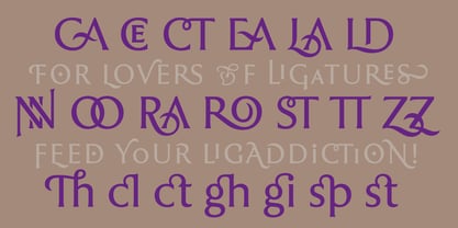 Rahere Roman Display Font Poster 3