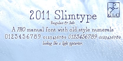2011 Slimtype Font Poster 1