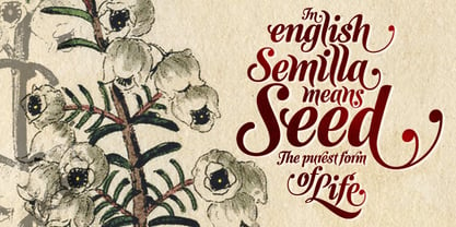 Semilla Font Poster 1