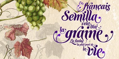Semilla Font Poster 3