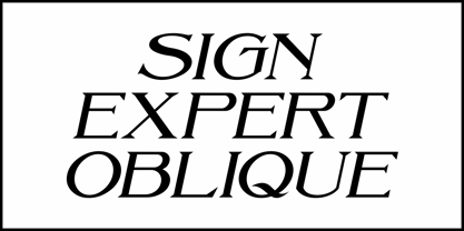 Sign Expert JNL Font Poster 4