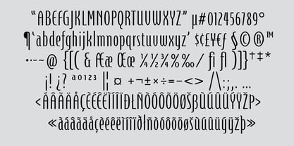 Steletto Neue Font Poster 8