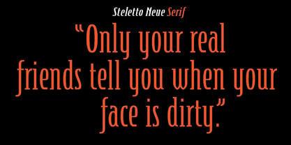 Steletto Neue Font Poster 5