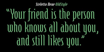Steletto Neue Font Poster 6