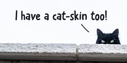 Catskin Font Poster 5