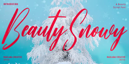 Beauty Snowy Font Poster 1