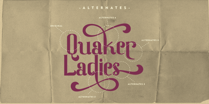 Quaker Ladies Fuente Póster 10