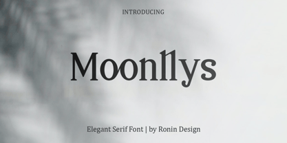 Moonllys Font Poster 1