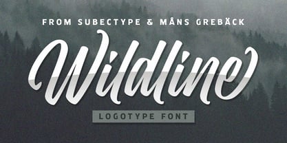 Wildline Font Poster 1