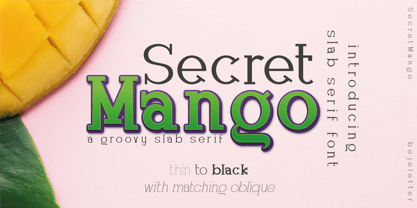Secret Mango Font Poster 1
