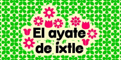 Guadalupe Font Poster 3