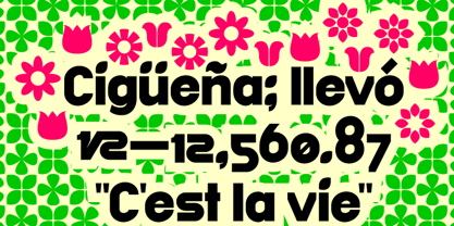 Guadalupe Font Poster 6