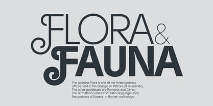 Solomon Font Poster 12