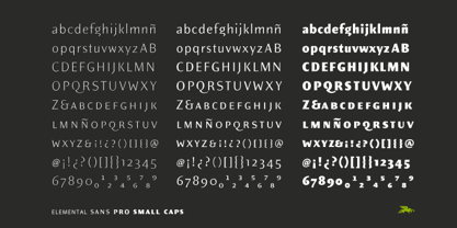 Elemental Sans Pro Font Poster 10