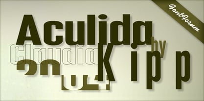 Aculida Police Poster 1