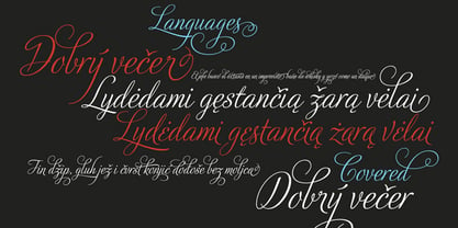 Adios Script Pro Font Poster 20