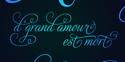 Adios Script Pro Font Poster 13