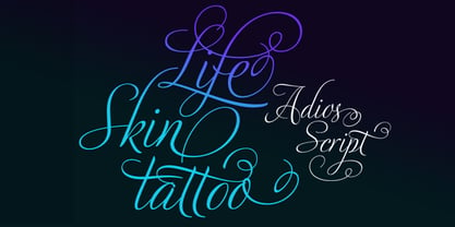 Adios Script Pro Font Poster 1