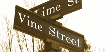 Vine Street Font Poster 1