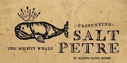 Saltpetre Font Poster 1