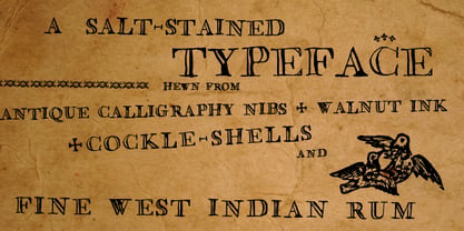 Saltpetre Font Poster 2