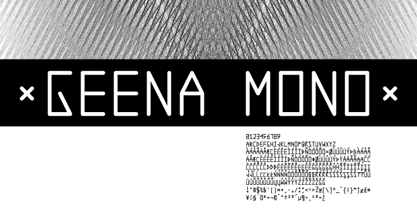 0Geena Mono Font Poster 3