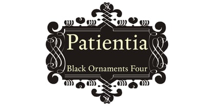 Black Ornaments Four Font Poster 4