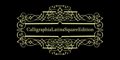 CalligraphiaLatinaSquareEdition Font Poster 2