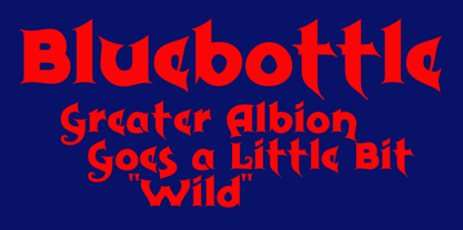 Bluebottle Font Poster 2