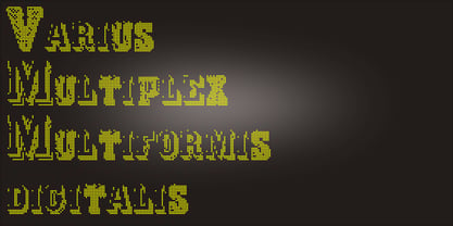 Varius Multiplex Multiformis Font Poster 4