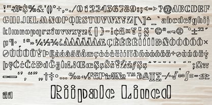 Riipale Font Poster 4