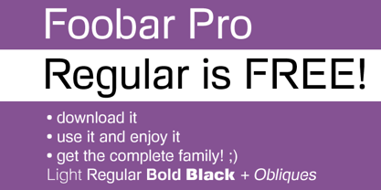 Foobar Pro Police Poster 5