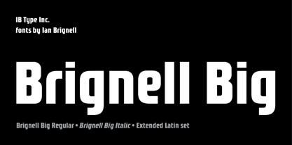 Brignell Big Fuente Póster 1