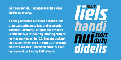 Brignell Big Font Poster 5