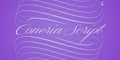 Coneria Script Font Poster 4