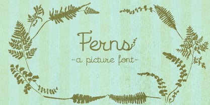Ferns Font Poster 2