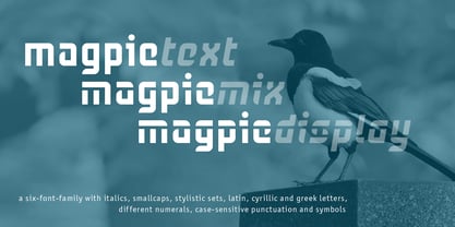 Magpie Font Poster 1