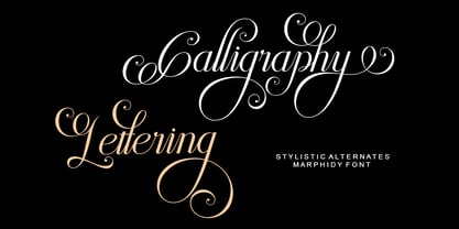 Marphidy Font Poster 2