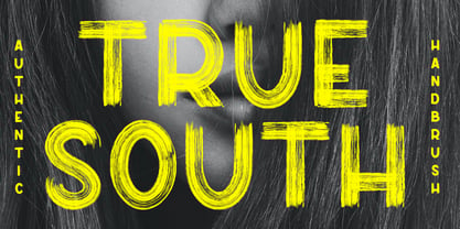 True South Police Affiche 1