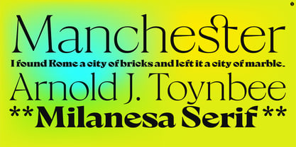 Milanesa Serif Font Poster 4