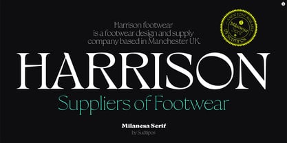 Milanesa Serif Font Poster 9