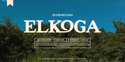 Elkoga Font Poster 1