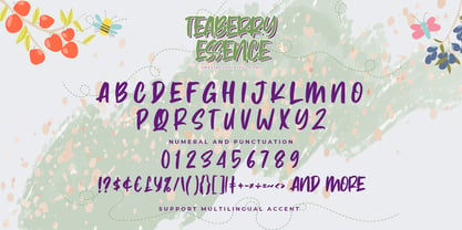 Teaberry Essence Font Poster 6