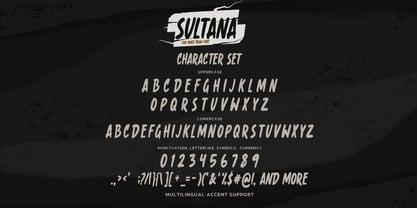 Sultana Font Poster 8