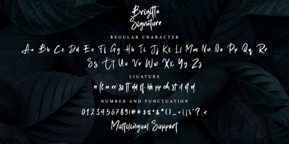 Brigitta Signature Font Poster 6