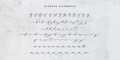 Biancha Script Font Poster 12