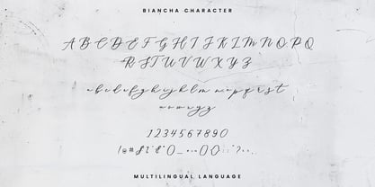 Biancha Script Font Poster 11