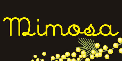 Mimosa Font Poster 1