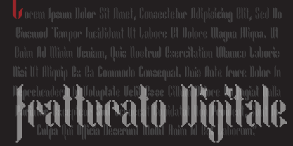 Fratturato Digitale Font Poster 1