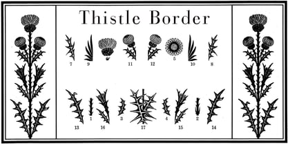 Thistle Borders Font Poster 1